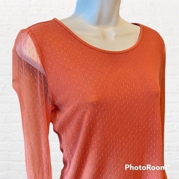 ANN TAYLOR Factory Lined Pumpkin Top with Sheer Dotted Sleeves & Pleated Cuffs - Picture 9 of 13